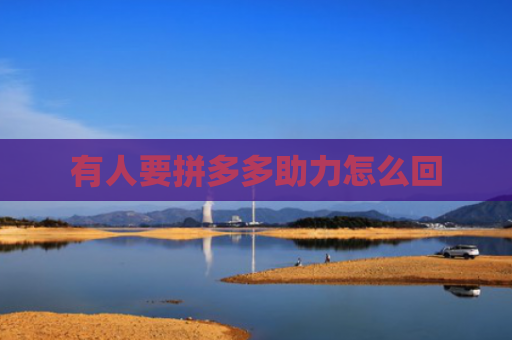 有人要拼多多助力怎么回-第1张图片-拼多多助力网站-pdd新人免费助力网站，拼多多极速助力网站
