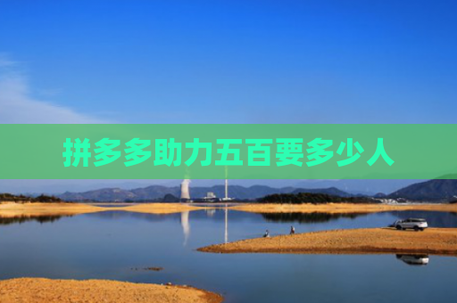 拼多多助力五百要多少人