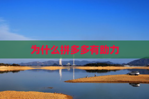 为什么拼多多有助力