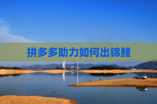 拼多多助力如何出锦鲤