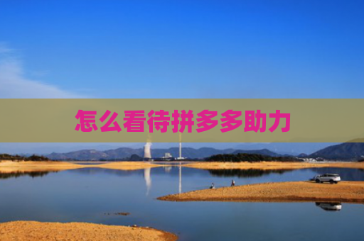 怎么看待拼多多助力