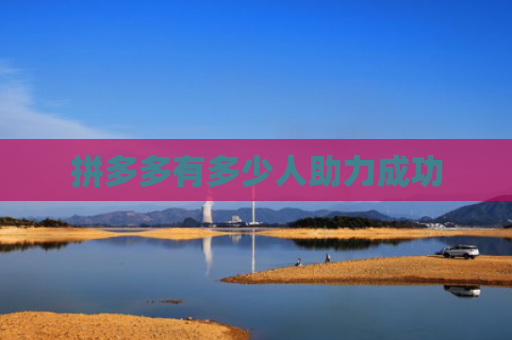 拼多多有多少人助力成功