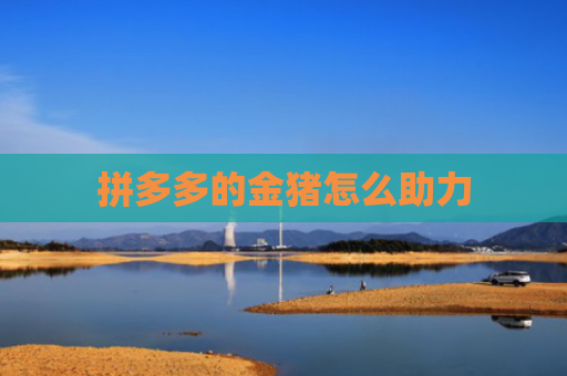 拼多多的金猪怎么助力