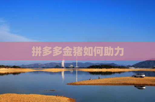 拼多多金猪如何助力