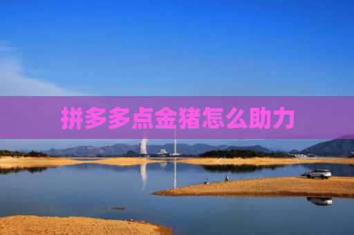 拼多多点金猪怎么助力