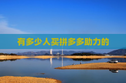 有多少人买拼多多助力的