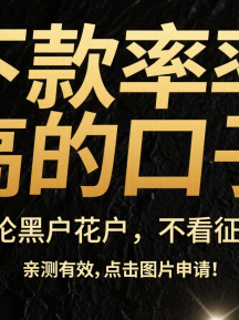 马云旗下平台贷款全解析：从申请到理财的实战指南