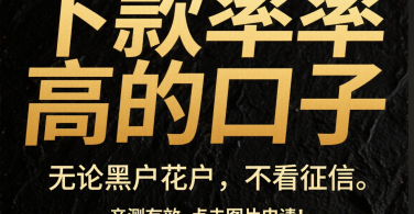 马云旗下平台贷款全解析:从申请到理财的实战指南 马云旗下平台贷款全解析:从申请到理财的实战指南