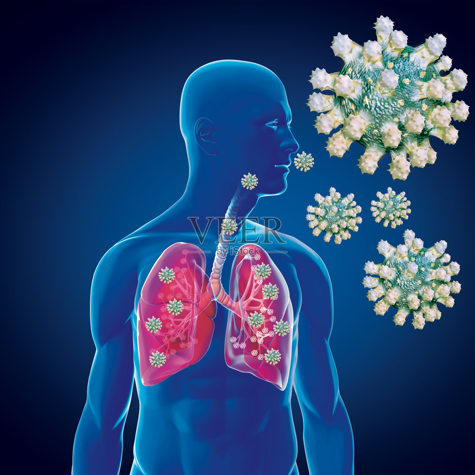 【2019-ncov病毒疫情/2019ncov新型冠状病毒】 【2019-ncov病毒疫情/2019ncov新型冠状病毒】