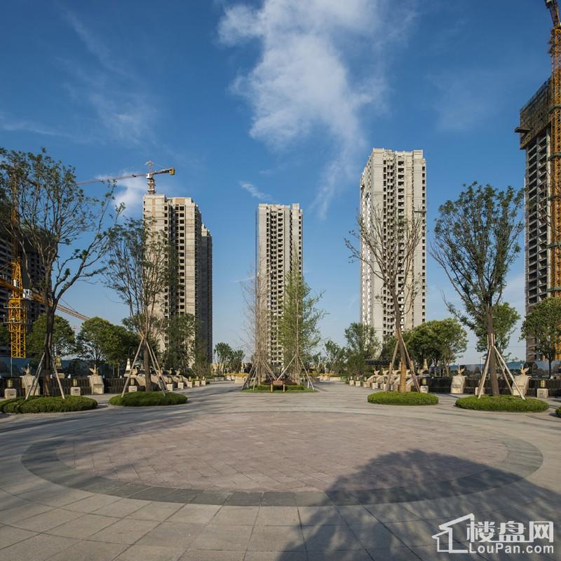 【阳光城西西里疫情_阳光城西西里疫情最新消息】