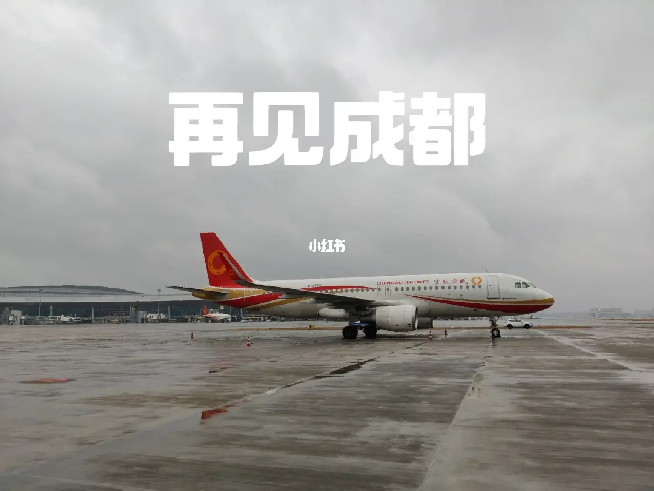 【成都疫情离蓉