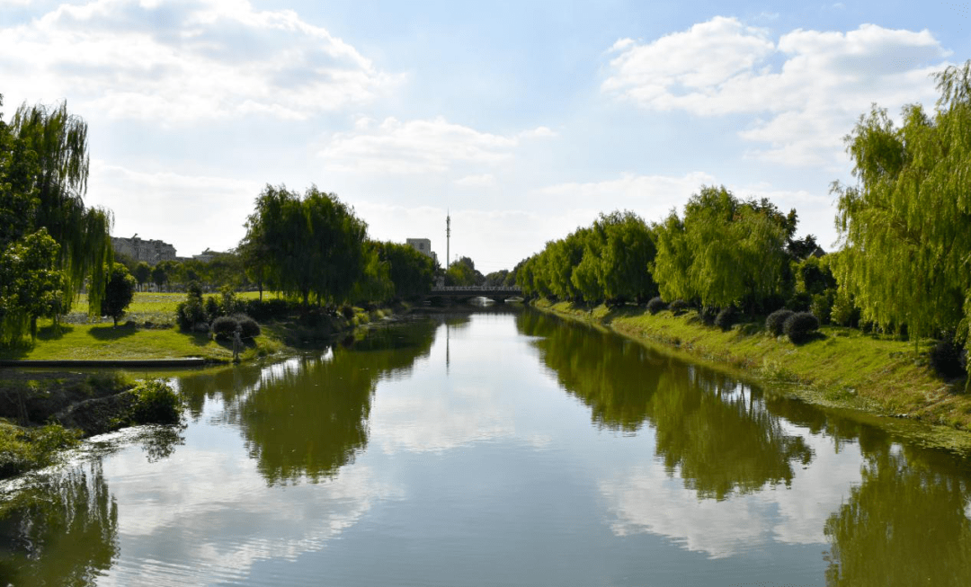 【绿色青浦疫情最新分布,为什么绿色青浦app下载后打不开】 【绿色青浦疫情最新分布,为什么绿色青浦app下载后打不开】