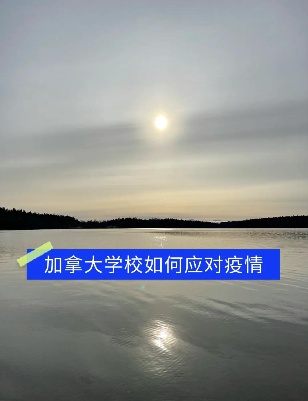 国内多所学校出现疫情】