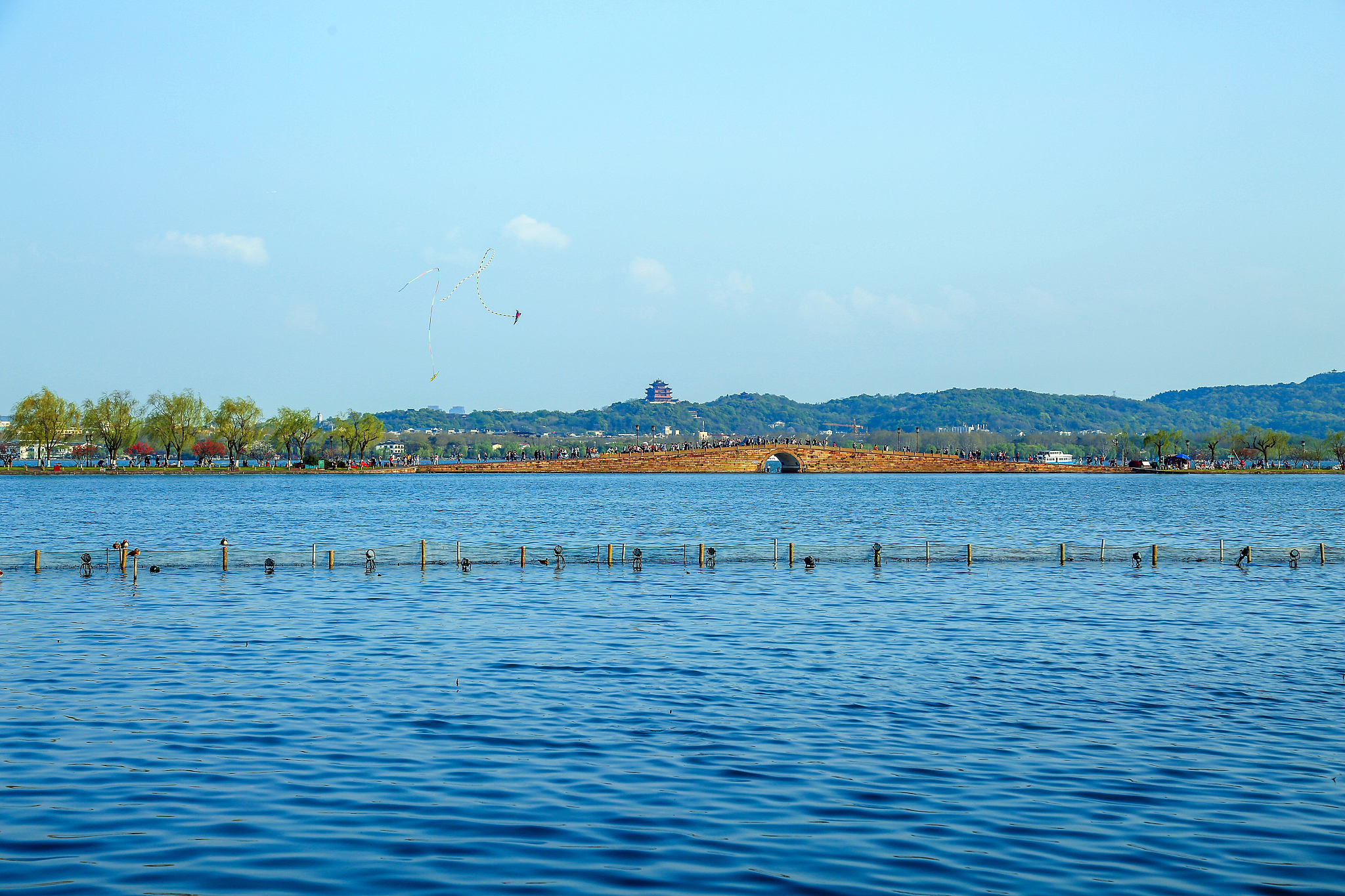 秦皇岛碧螺塔公园疫情封闭】