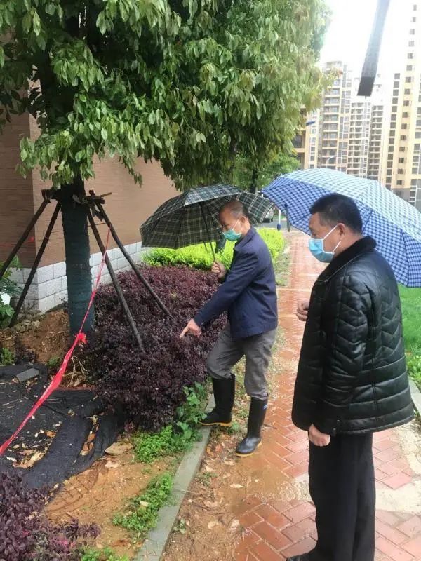 江夏区疫情封闭区域地图】