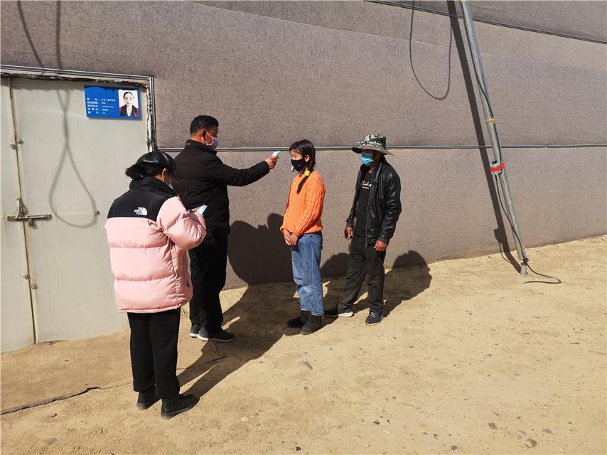 【西藏灵芝疫情,西藏灵芝功效作用】