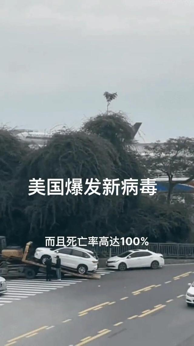 国外疫情数据图】