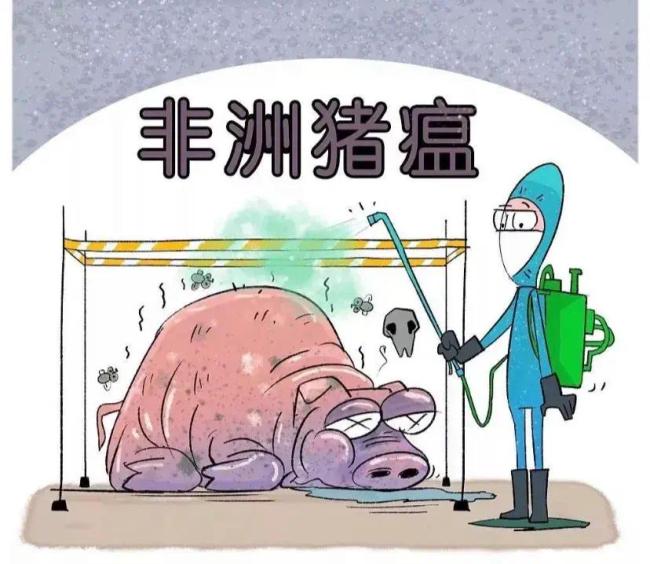 【非洲猪疫情/非洲猪瘟疫情情况】