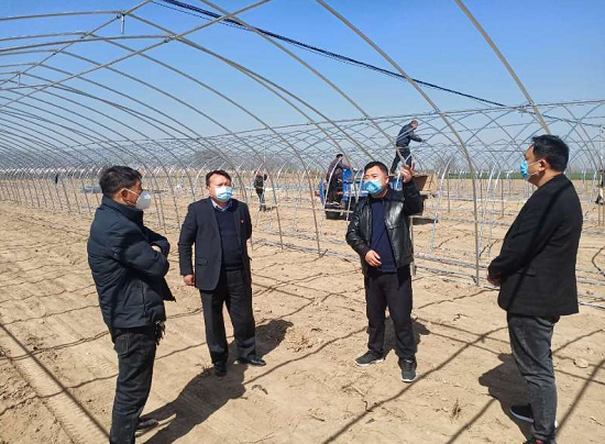 【河南柘城最新疫情通报,河南柘城县疫情风险等级】